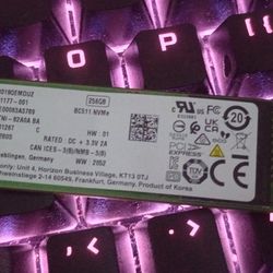 256GB SSD