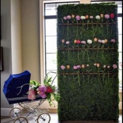 Backdrop Glass Holder 