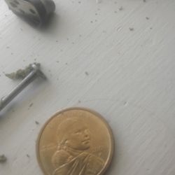 Die Error 2000 2000 P Gold Dollar
