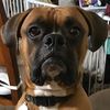 ernie
