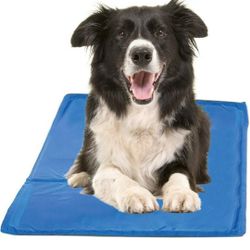 Chillz Cooling Mat For Dogs - Pressure Activated Gel Dog Cooling Mat - No Need to Freeze Or Refrigerate This Cool Pet Pad - Keep Your Pet Cool, Use In