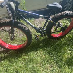 Bicicleta de ruedas anchas Mongoose, para adultos, de 26 pulgadas