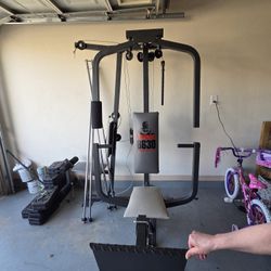 Weider 8630 Training System