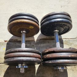 Gym #Gym Equipment #weights #dumbells 