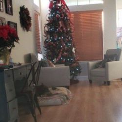 Chrismas Tree 9 Ft Free