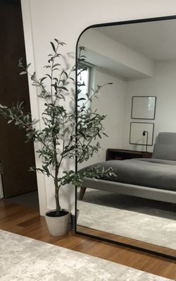 Crate&Barrel Olive Tree 5’