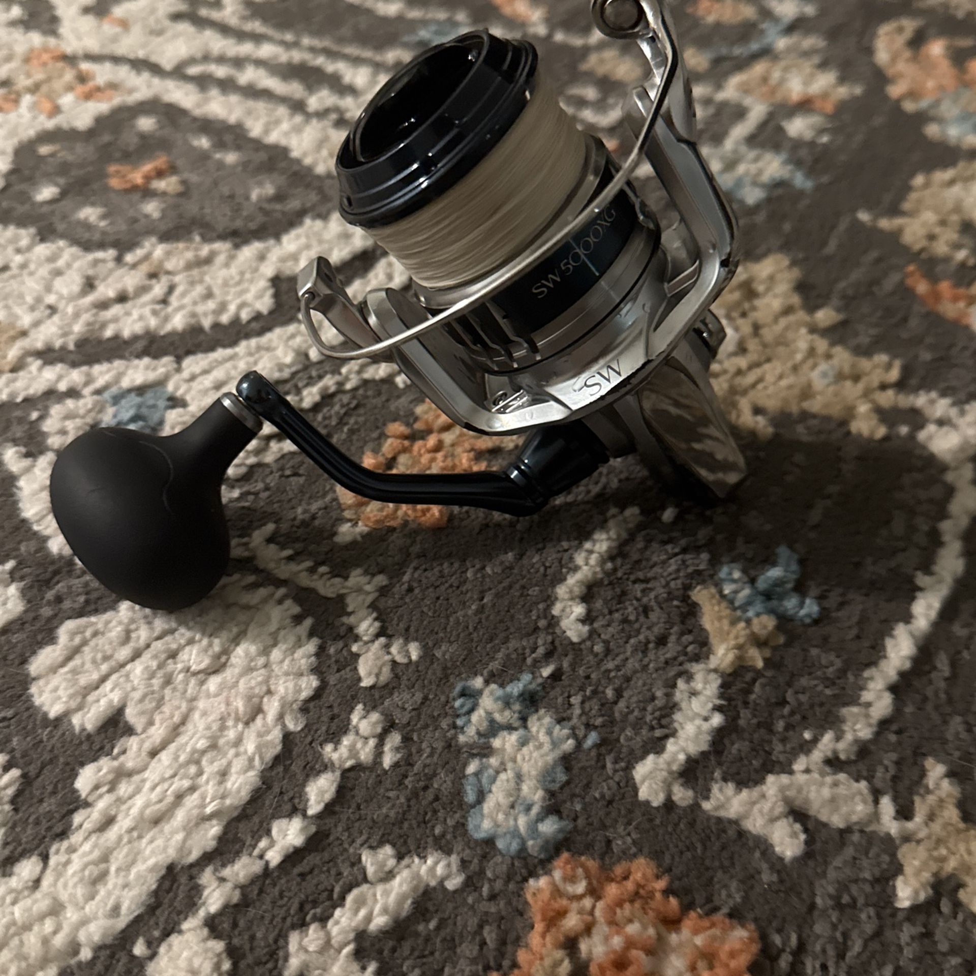Saragosa 5000