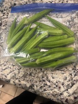Fresh green okra cut every two days