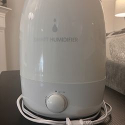 Mini Humidifier 