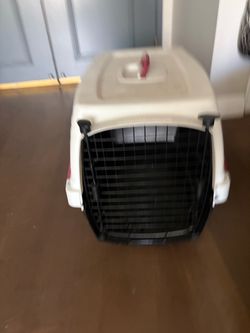 Large cat medium dog crate