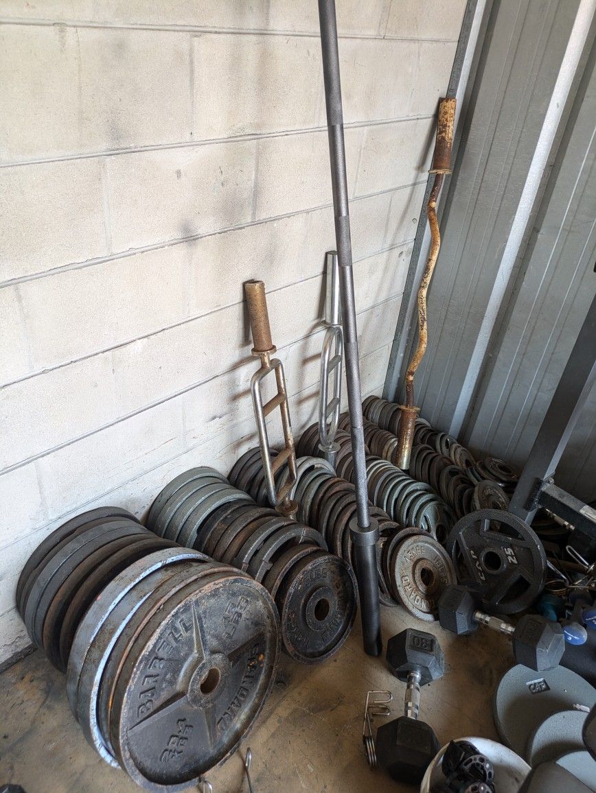 Workout Olympic Plates, Benches, Racks, Dumbbells And More!