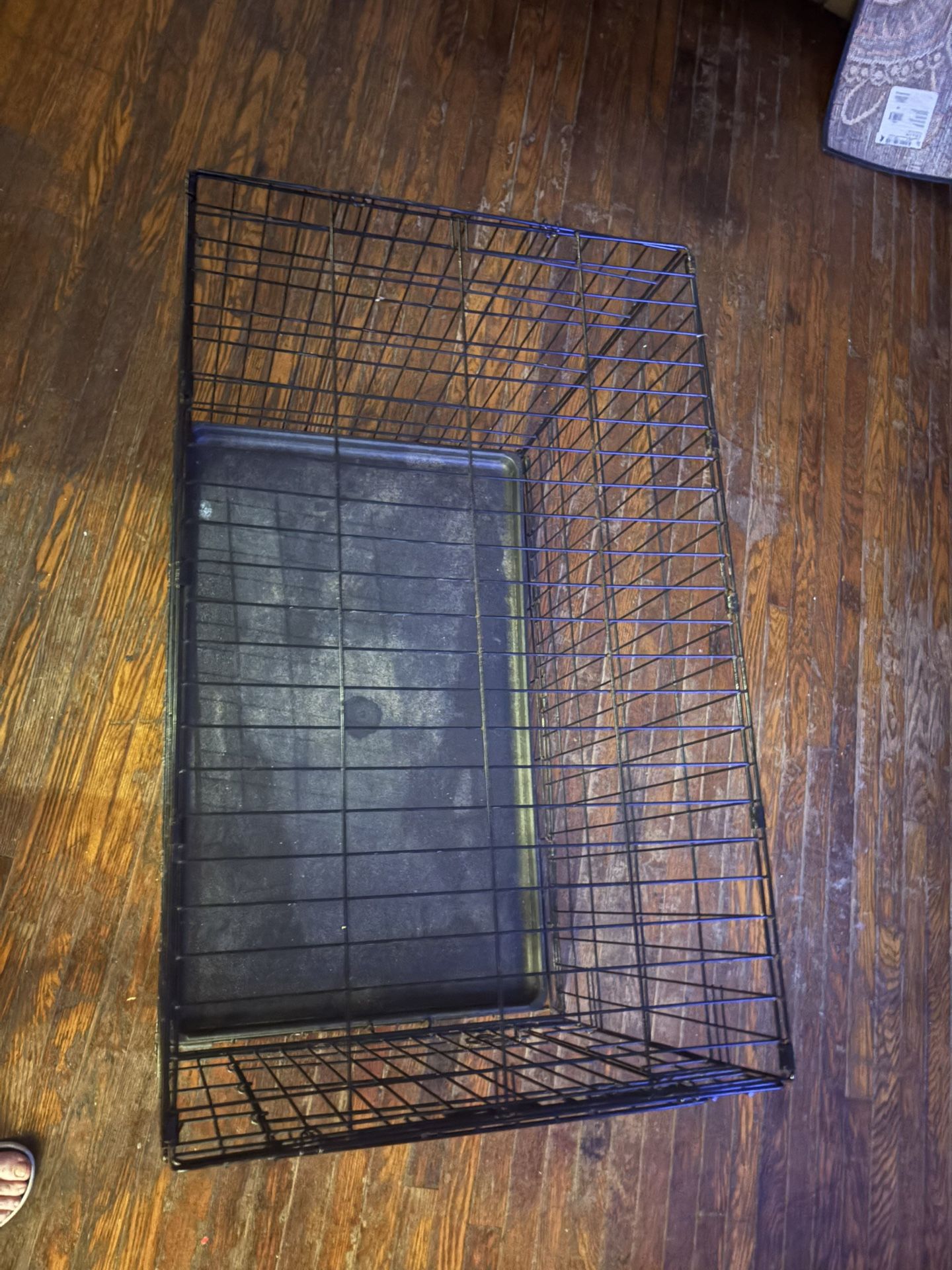 3 Ft By 2 Ft Dog Cage
