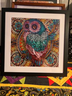 Teal colored Owl picture