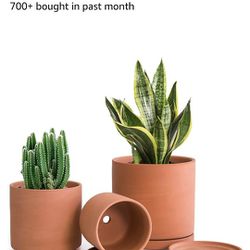 3 Terracotta Plant Pots