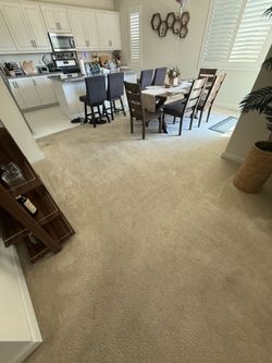 Carpet - pick up only