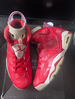 Jordan 6 Slam Dunk Size 9.5