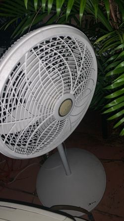 Fan