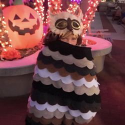 Handmade Owl Costume 4yo Without Mask