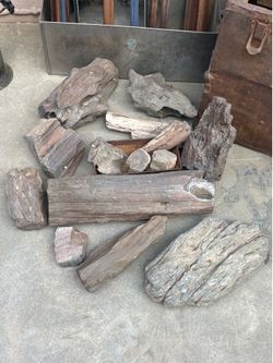 Petrified Wood - large lot or sold separate OBO