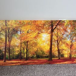 Living room canvas backdrop