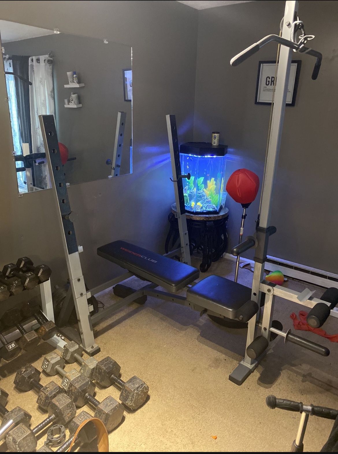 Olympic Weight Bench