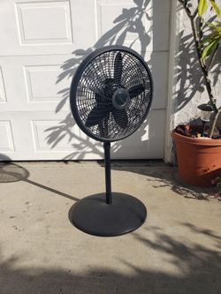 Fan