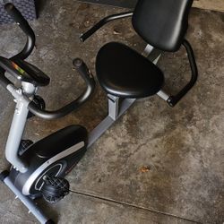 Sunny Recumbent Bike