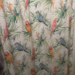 Parrot Shower Curtain 