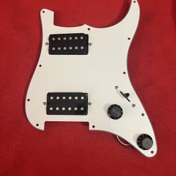 “ NEW” PickGuard Assembly 