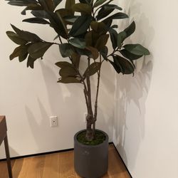 Faux 6.5' Magnolia Tree