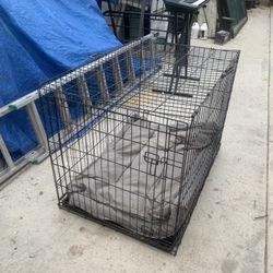Dog Case With Mattess Big Size $25 
