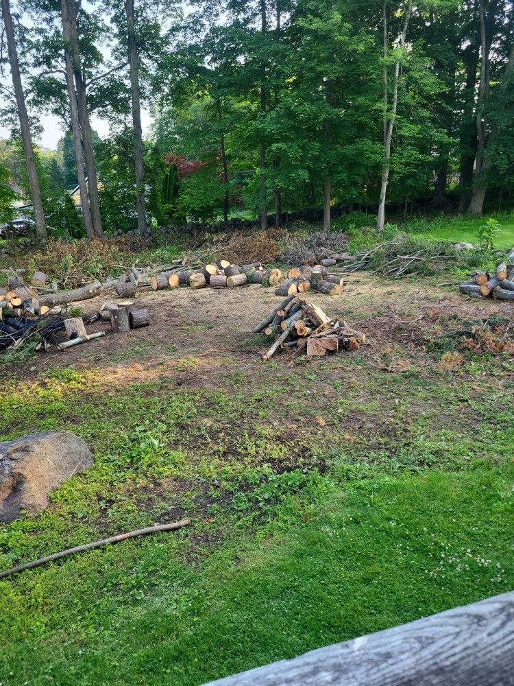 Firewood