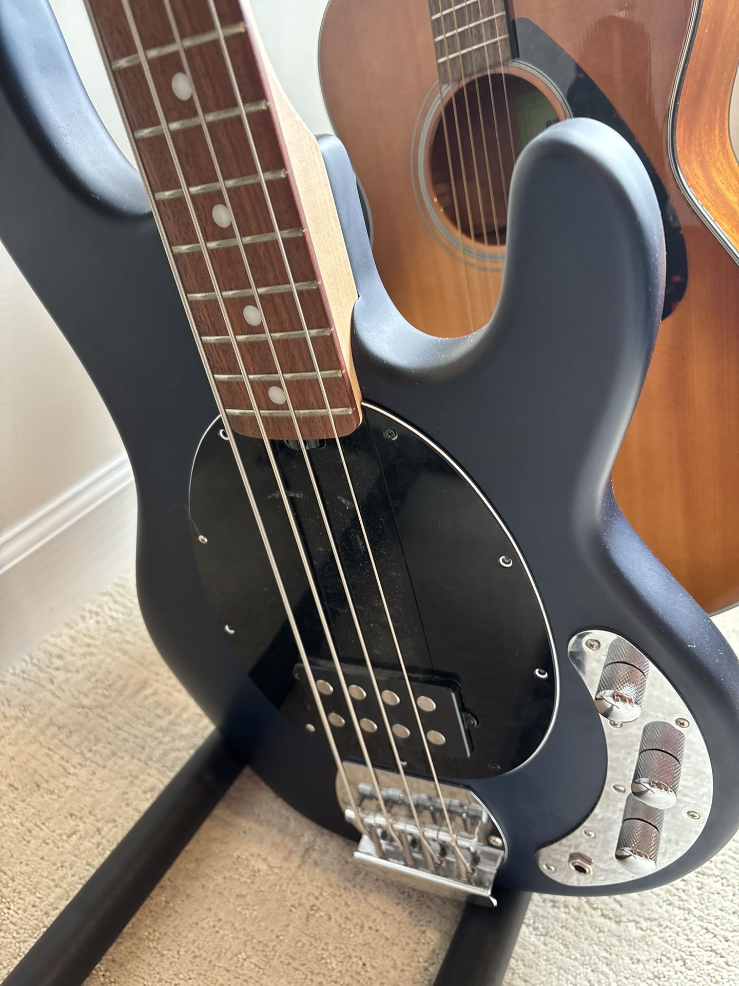 Sterling Sting Ray Music Man Series Bars Guitar