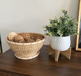 Decor Plant And Basket