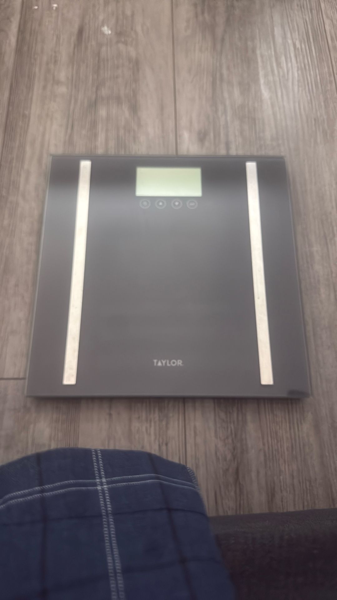 Taylor Weight Scale