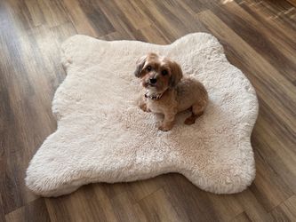 Dog Bed