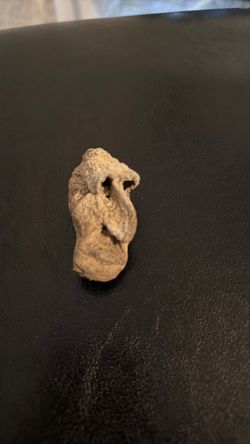Gnome mummy