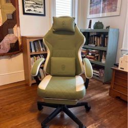 Brand New Gaming Chair