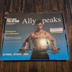 New Ally Peaks Pull Up Bar For Doorway 