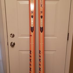 Salomon X-Mountain 194 cm Snow Skis New