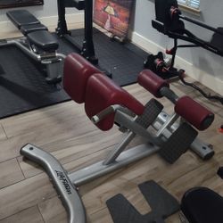 Back Extension Bench 