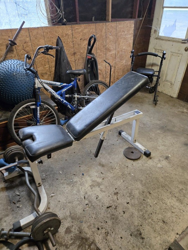 Weight Bench