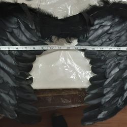 Black Wings