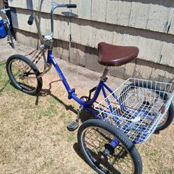 Trike Bike