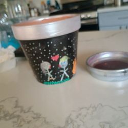 Hand Painted Terracotta Plant Pot