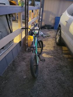 Elite BMX bike