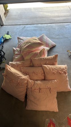 12      20 x 20 pillows with cases and inserts