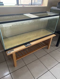 55 gallon and table