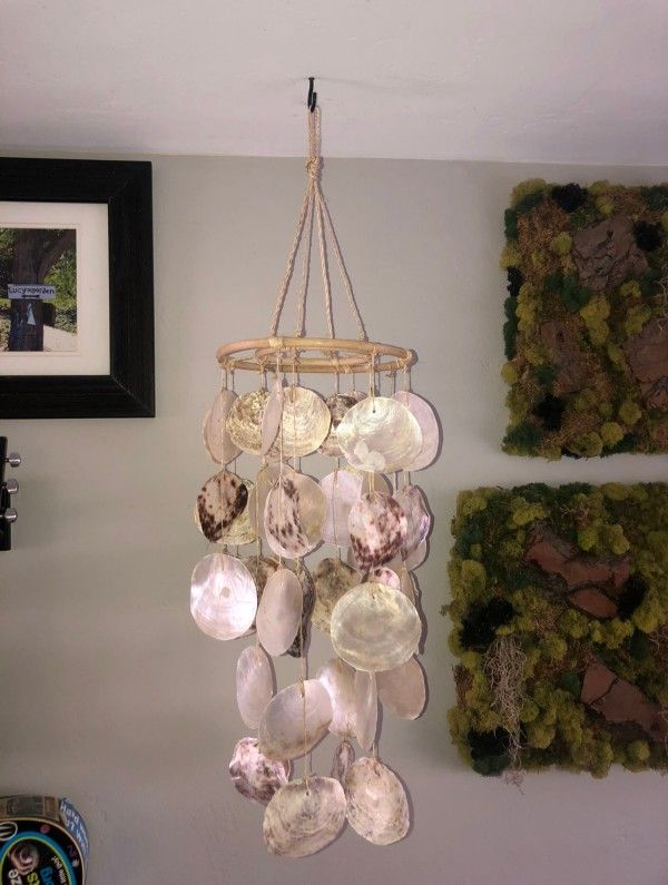 Gorgeous Raw Capiz Shell Chandelier