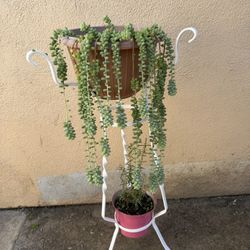 Vintage Plant Stand
